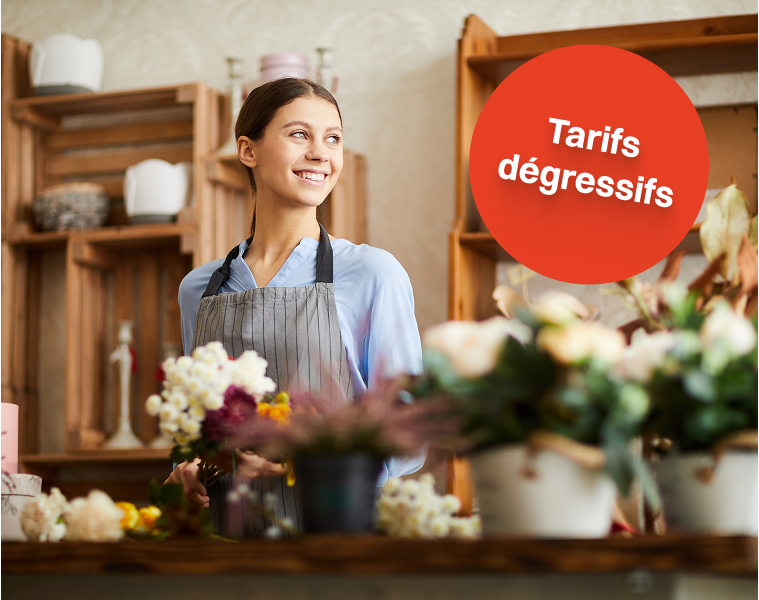 Tarifs dégressifs